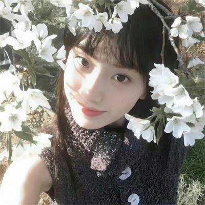 我的美丽王国