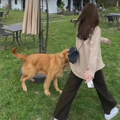 诡八楼